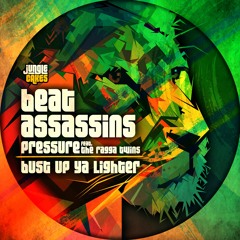 Beat Assassins - Pressure ft The Ragga Twins - Jungle Cakes - Clip