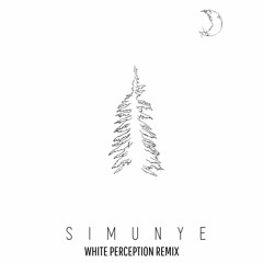 Free Download // Damian Yoko feat. Amy May Roux - Simunye (White Perception Remix)
