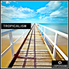 Loopersound - Tropicalism