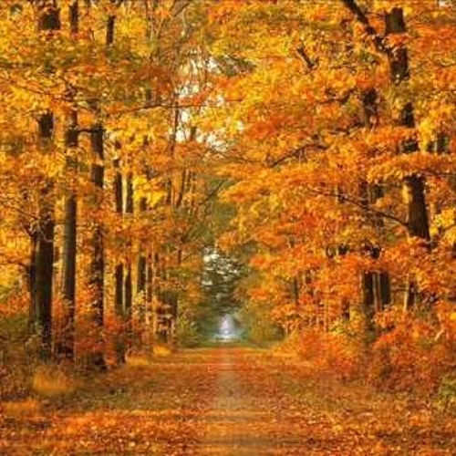 Autumn Leaves by Giviko Giorgobiani | Free Listening on SoundCloud