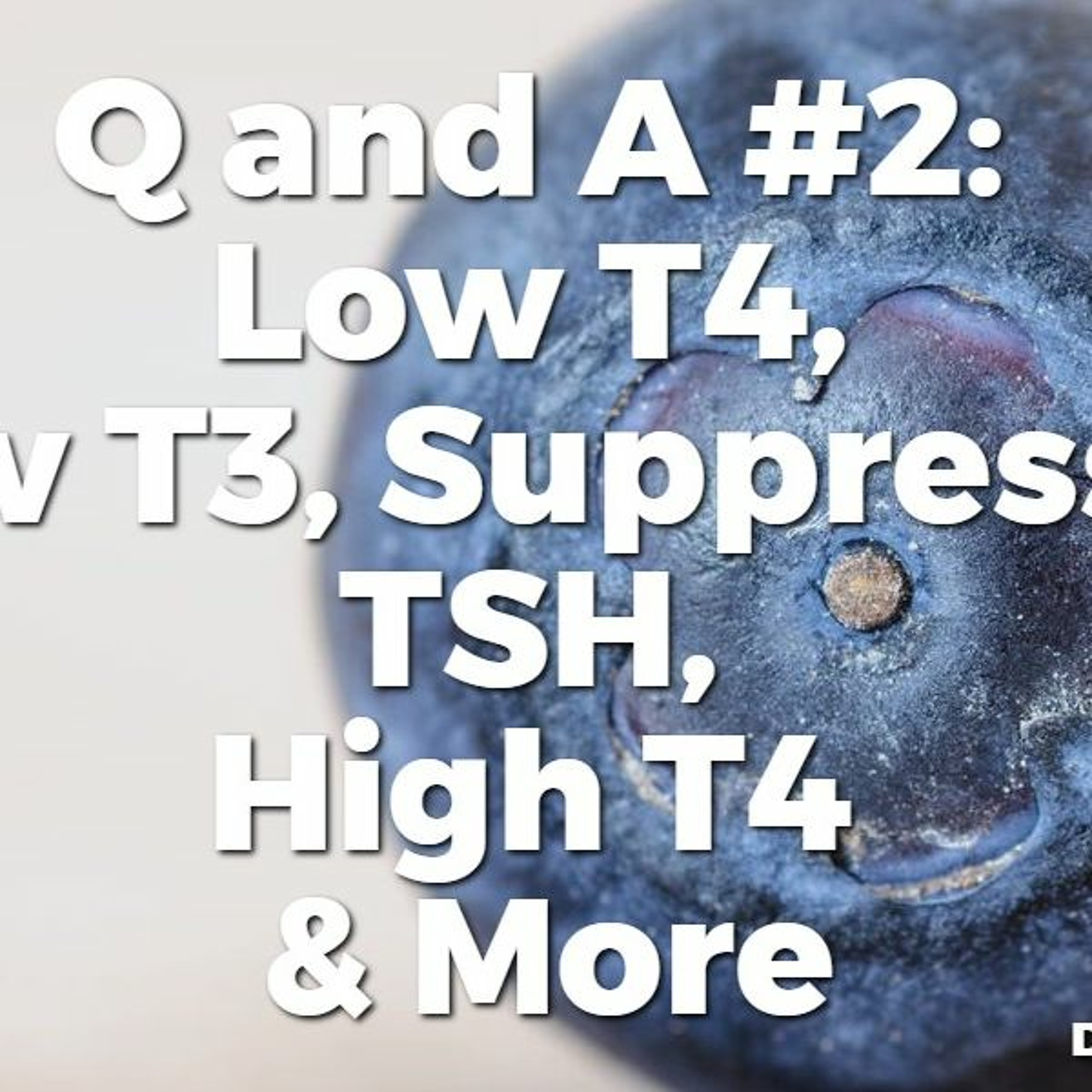 Q and A #2: Low T4, Low T3, Suppressed TSH, High T4 & More