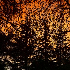 Aleksandar von Zimmer & danielVee - Any Dream You Want