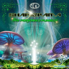 02 - Sharigrama - Let It Flow