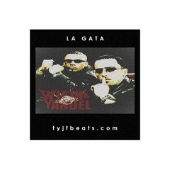"La Gata" - [Wisin Y Yandel Early 2000's Reggaeton Type Beat] Prod. By Jay Fuentes