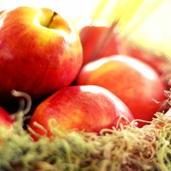 Love Is What You Can Find