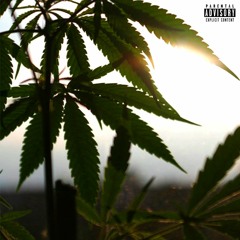 Backwoods ft. CallMeGado