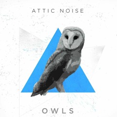 Owls (Single Version)