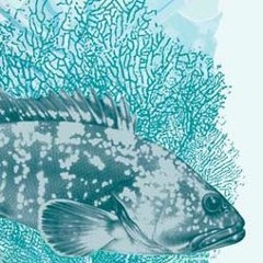 Arsenal.4 - Pescador De Peixe Azul