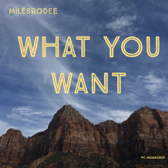 What You Want (prod. by Tape$)