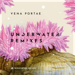 Vena Portae - Photographic Film (Matiquechua Remix)