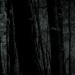 Aano Ehrn - Rodcode (Original Mix) Cut ElectroExeL unreleased