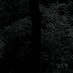 Aano Ehrn - RC & EC (Original Mix) Cut ElectroExeL unreleased