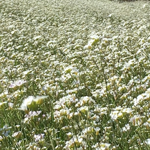 Shimmering Moods @ Resonance Extra #22