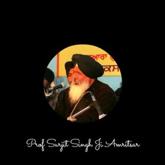 Kal Taran Guru Nanak Aieaa, Raag Malkauns (Prof Surjit Singh Ji)