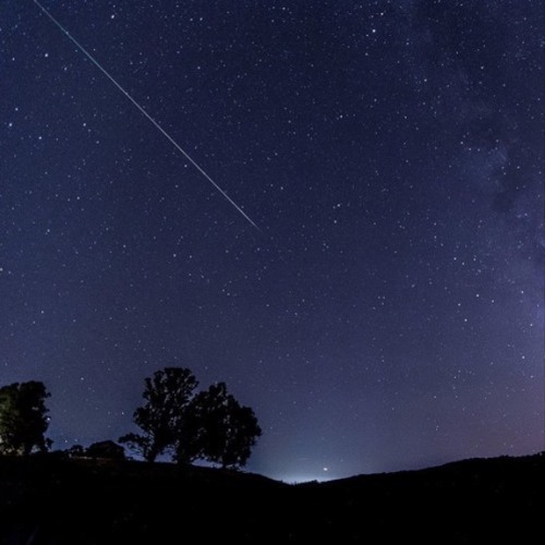 Lonely Perseid