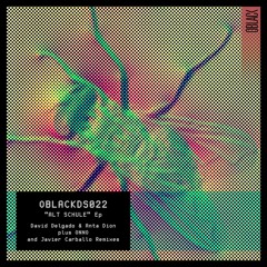 David Delgado & Anta Dion - Alt Schule (Original Mix)
