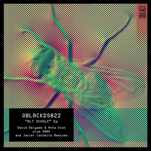 David Delgado & Anta Dion - Alt Schule (Original Mix)