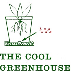 MSR-022 - The Cool Greenhouse - The End of the World