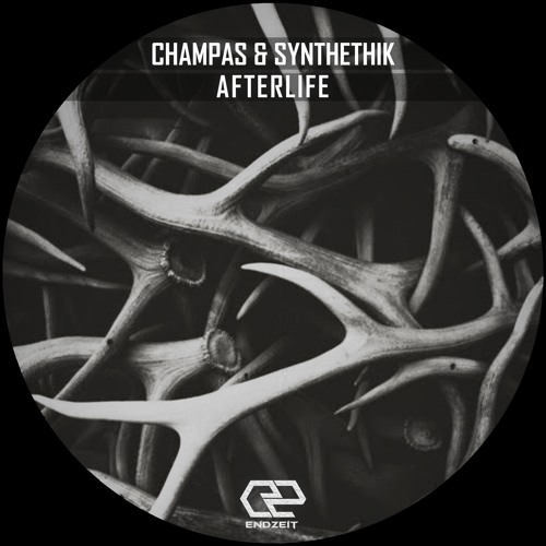 Synthetik - Beyond (Original Mix) Preview [ Soon out on Endzeit ]