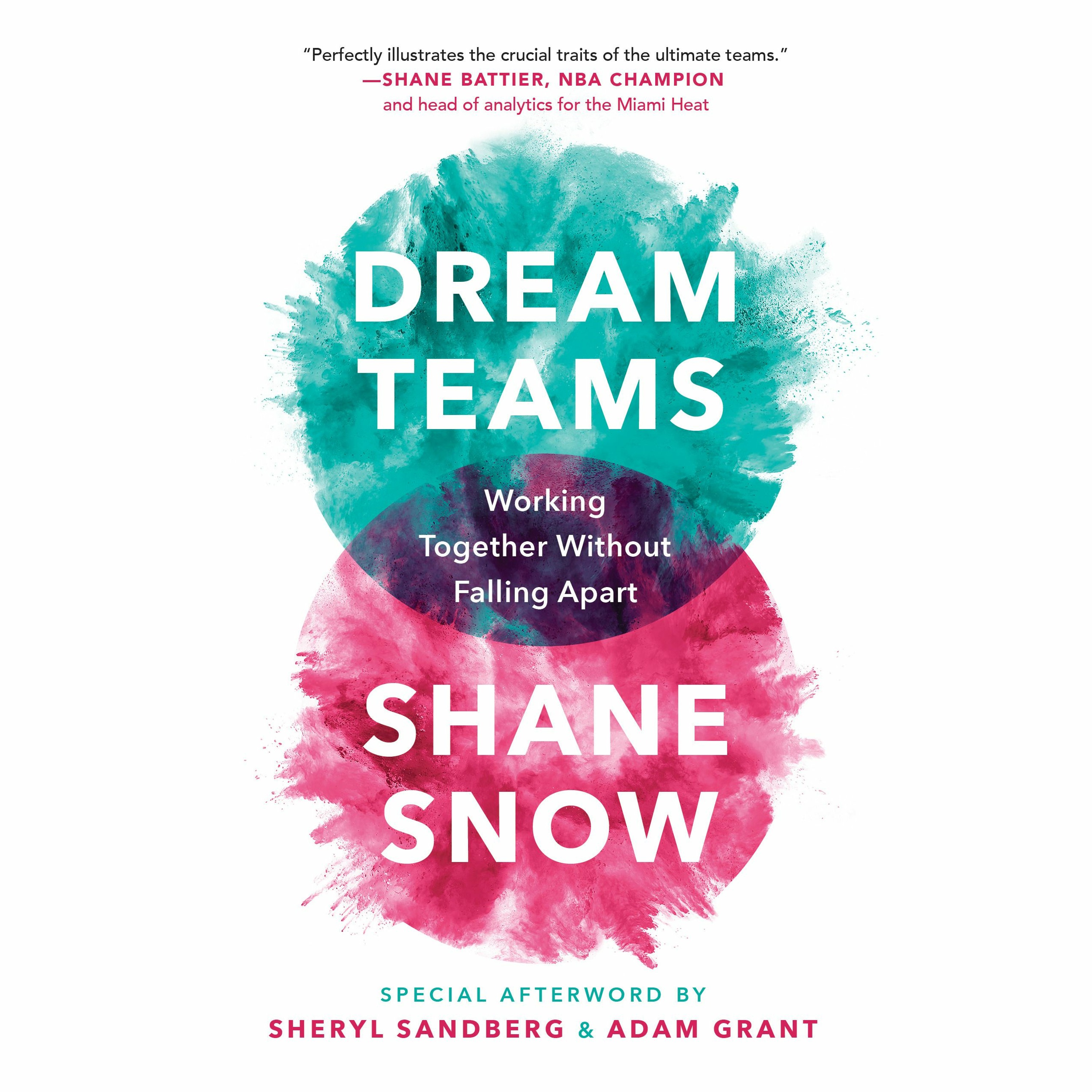 S3 E93: Shane Snow, Author of Dream Teams episode artwork