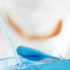 Science and Knowledge Economy: Ireland as a Model for UAE