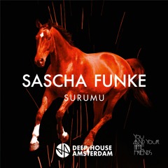 Premiere: Sascha Funke - Surumu (Original Mix) [You And Your Hippie Friends]