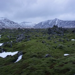 Berserkjahraun for chamber orchestra