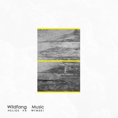 [PREMIERE] > Alaix Pulse - Vanguard (Original Mix) [Wildfang Music]