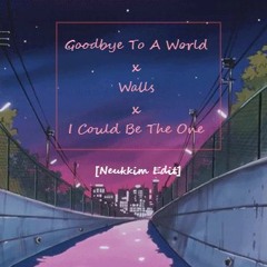 Goodbye To A World x Walls x I Could Be The One [Neukkim Edit]