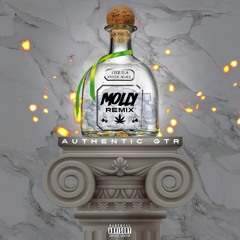 Authentic GTR - "Molly" Remix