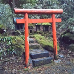 うしろのしょうめんふ～あ～ゆ～