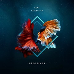 PREMIERE: LAAZ - One Night In June [Crossings Records]
