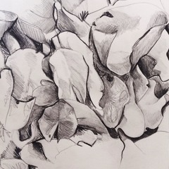 I've Just Seen A Face (cover)