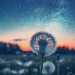 Progressive Trance Set / memory