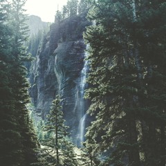 Wellness flow