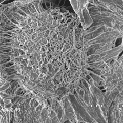 \ HiFuerTek /\ LiveTest /