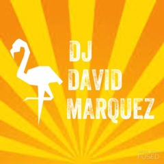 David Marquez Presents Flamingo Lingo 004