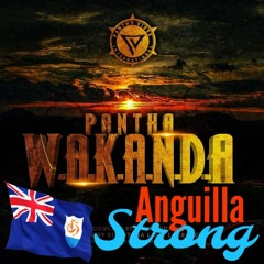Pantha Wakanda