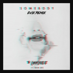 The Chainsmokers Ft. Drew Love - Somebody (Evix Remix)