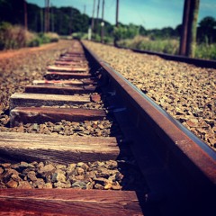 Raptorfuck - A.M. Knightly