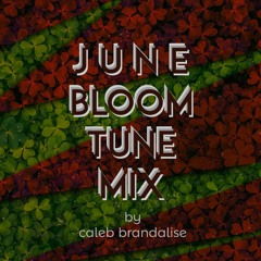 June Blooms Tunes | House & Wiggle Mix #17