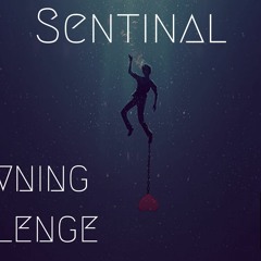 Sentinal - Drowning Challenge