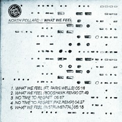 What We Feel (feat. Paris Wells)