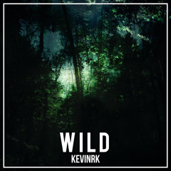 Kevin_R_K - The Wild (Radio Edit) [Free Download]