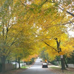 Flowers In Your Hair (The Lumineers)