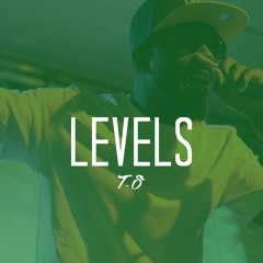 Levels (Remix)