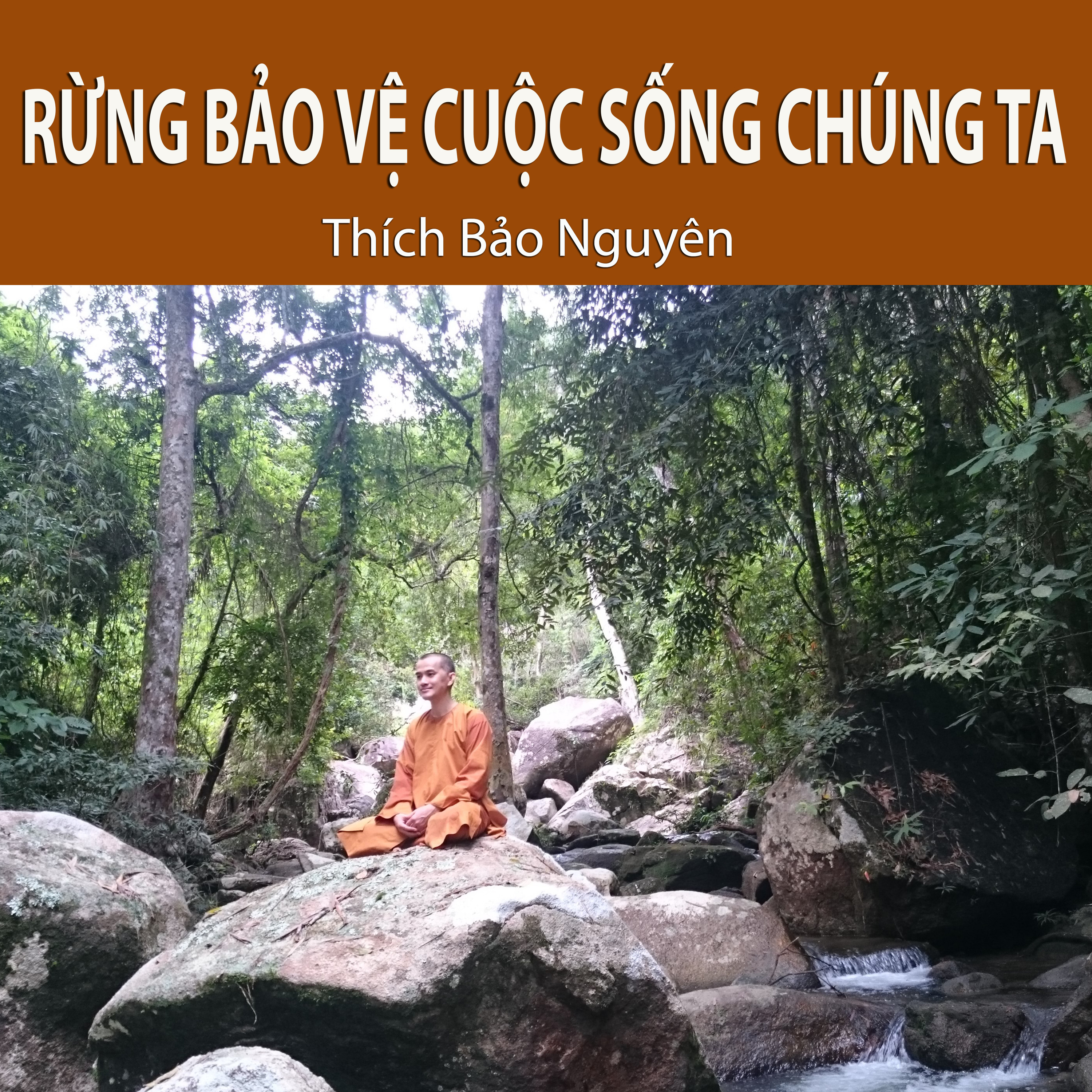 Thích Bảo Nguyên