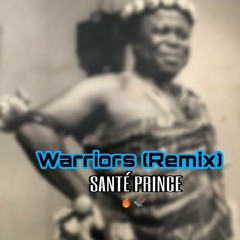Warriors (Remix)