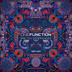One Function - Are You Experienced (Original Mix)