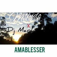 Mlindo The Vocalist/ DJ Maphorisa (Cover Remix 2) - AmaBlesser (Not a Blessing)